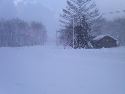 北海道の冬