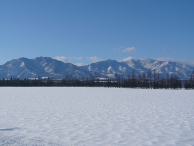 新年の始まり