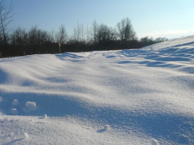 白雪