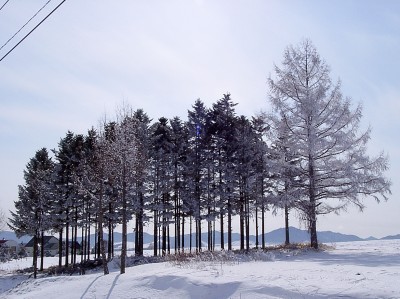 降雪