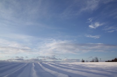 雪の功名