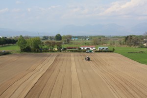 大地の芸術