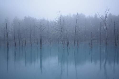 青の風景