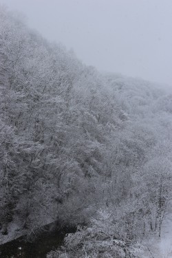 ひんやり連休