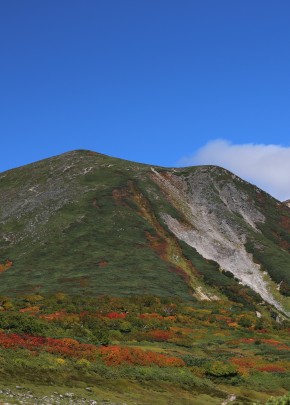 温かな色