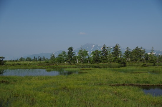 沼の原