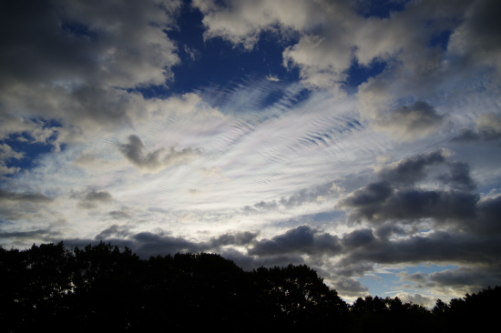 秋の空